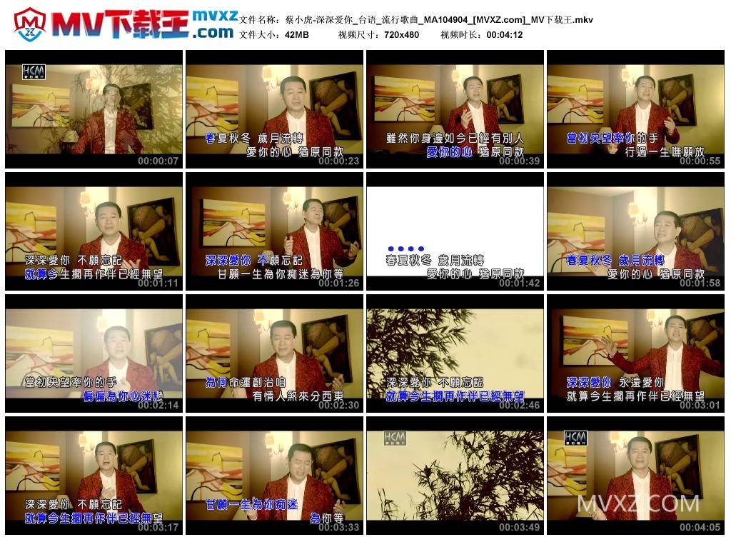 蔡小虎-深深爱你_台语_流行歌曲_MA104904